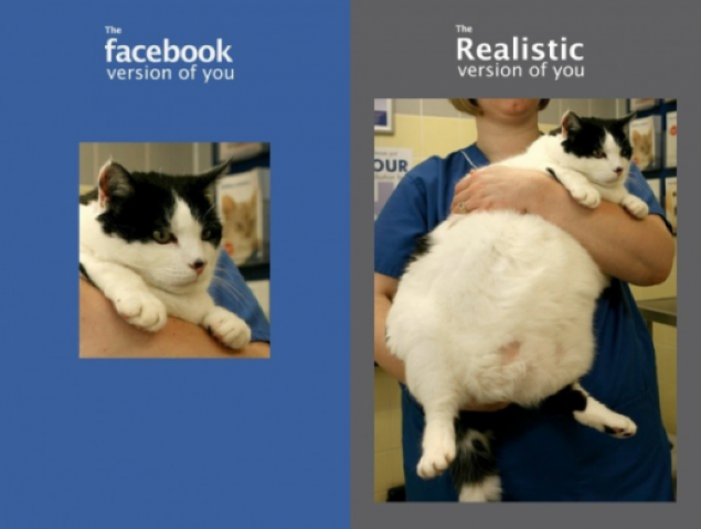 2.facebook-cat-reality